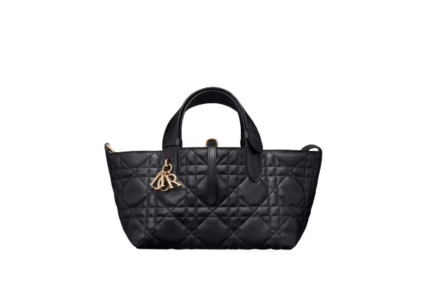CHRISTIAN DIOR