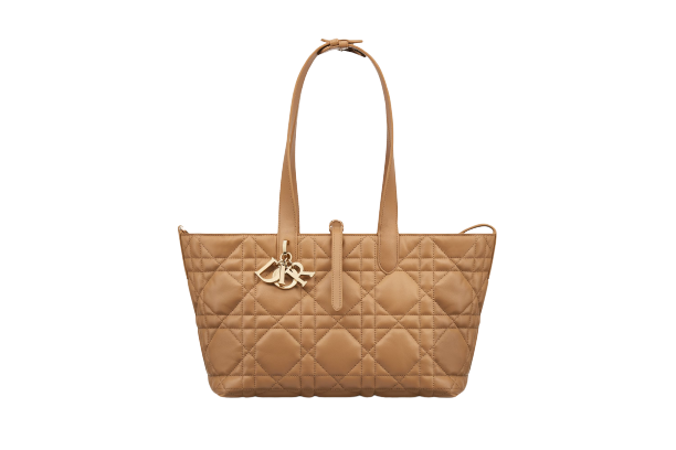CHRISTIAN DIOR