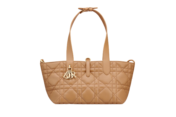CHRISTIAN DIOR