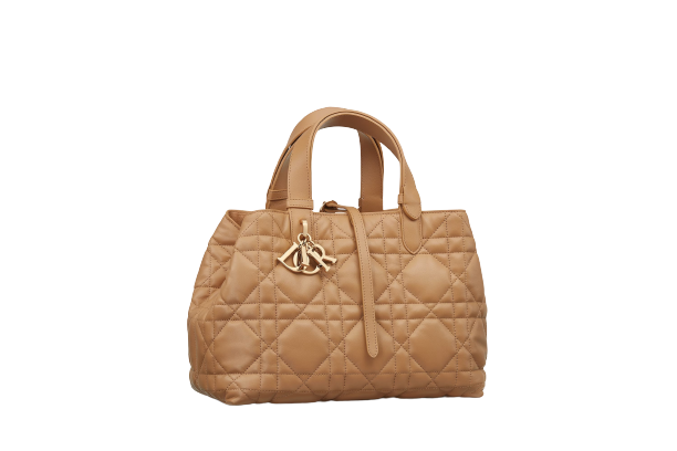 CHRISTIAN DIOR