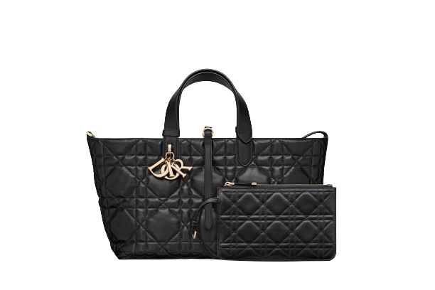 CHRISTIAN DIOR