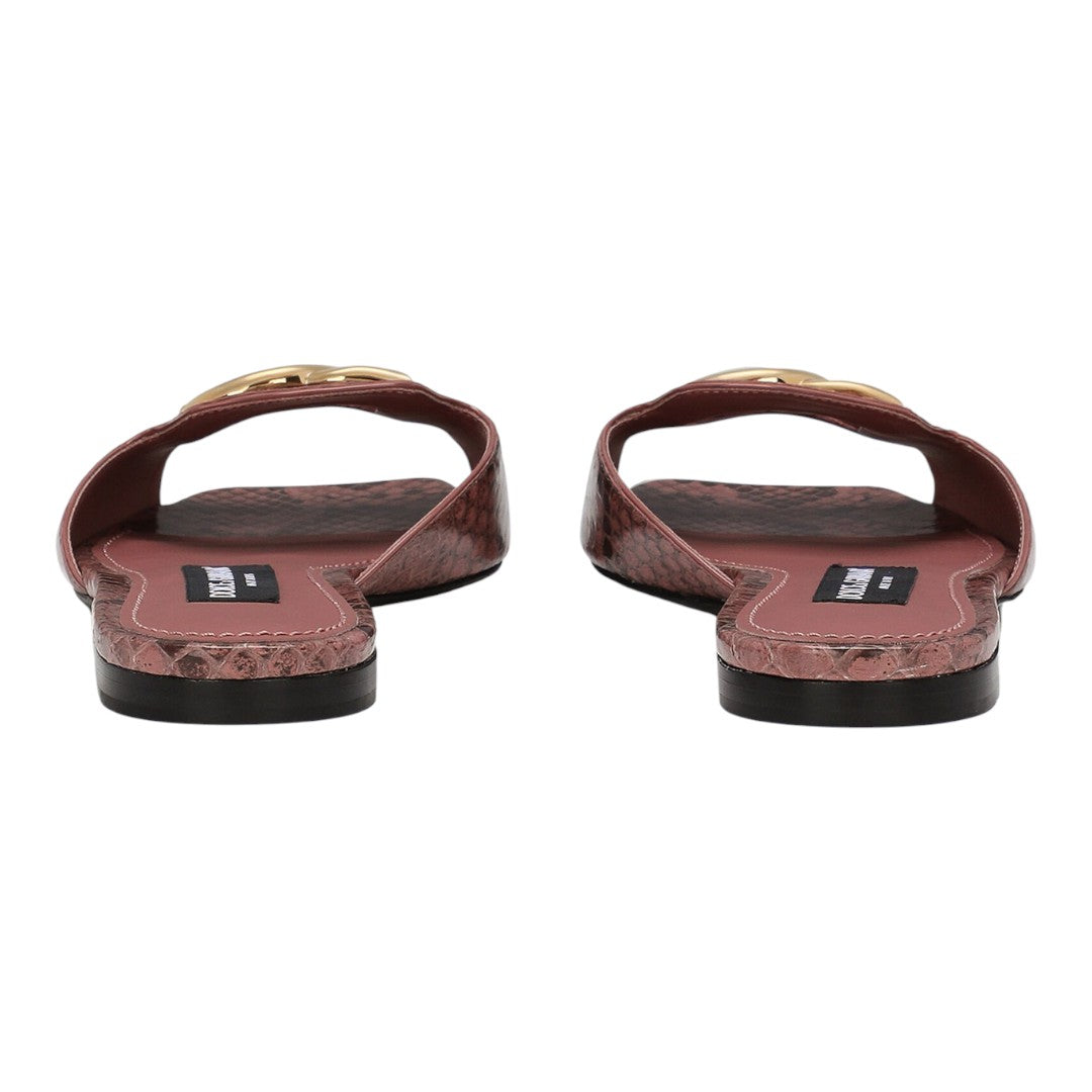 DOLCE & GABBANA