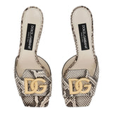 DOLCE & GABBANA