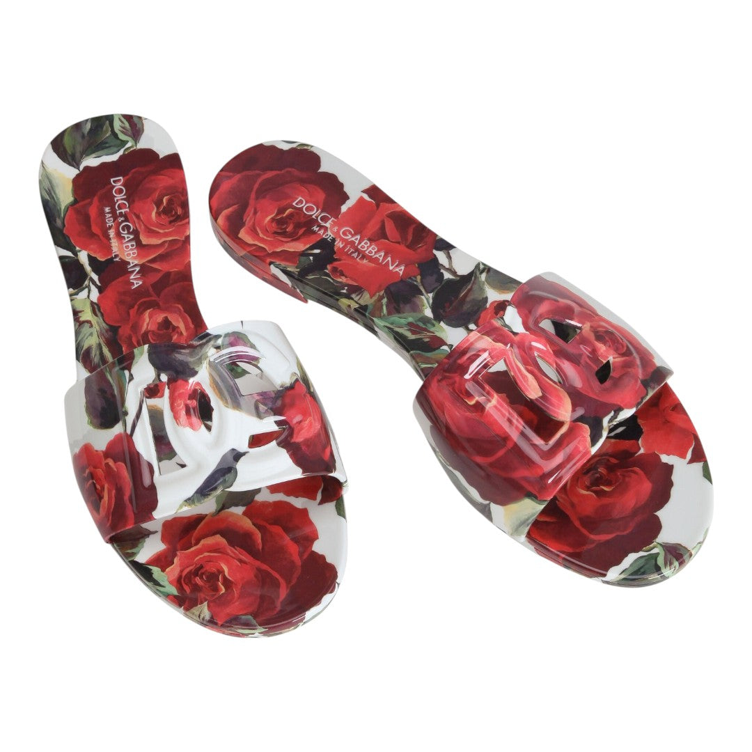 DOLCE & GABBANA
