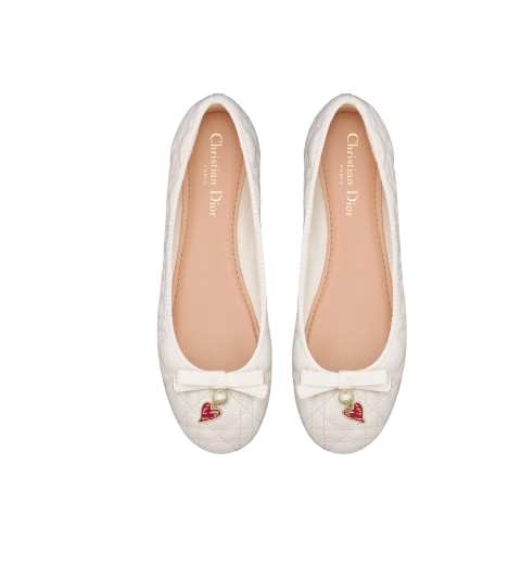 CHRISTIAN DIOR