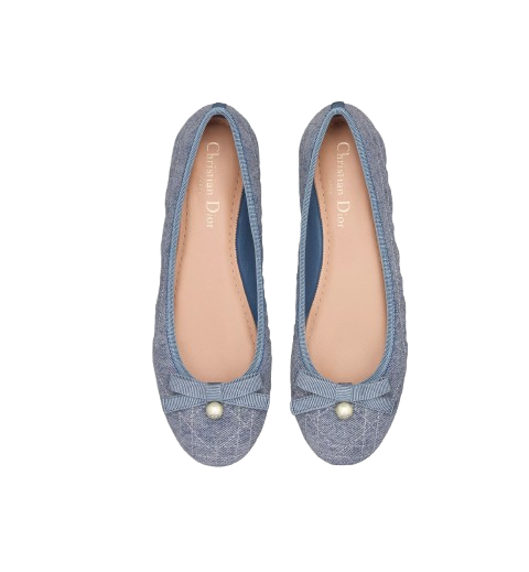 CHRISTIAN DIOR