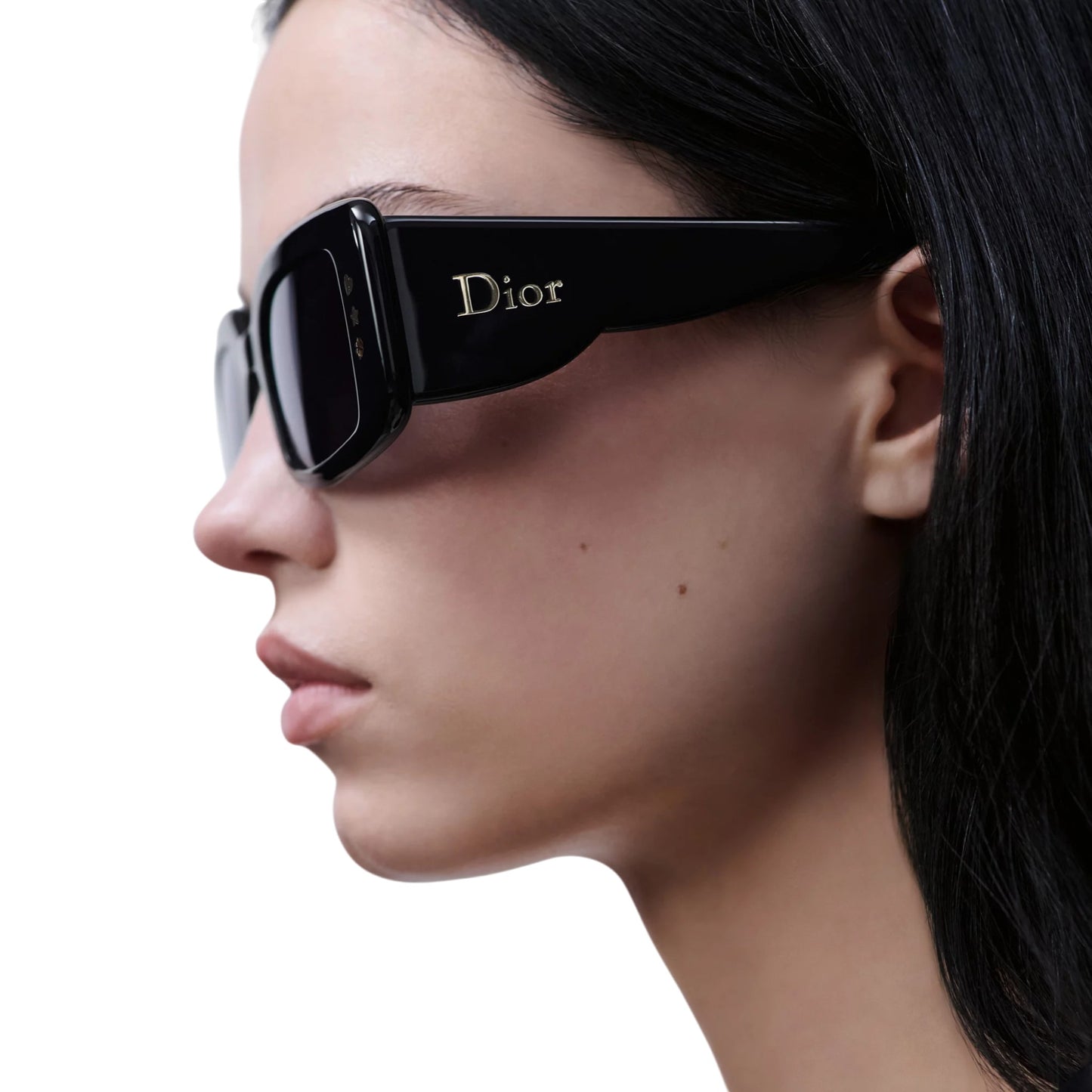 CHRISTIAN DIOR