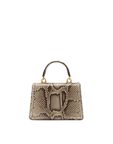 DOLCE & GABBANA