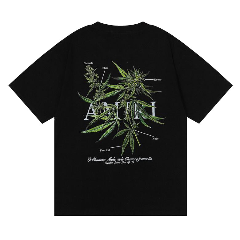 AMIRI