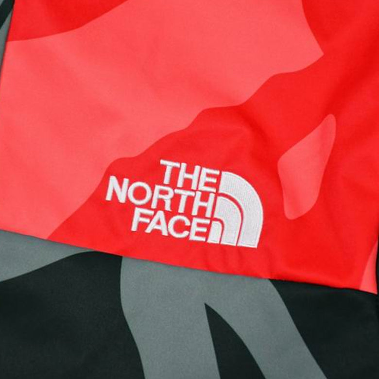 THE NORTH FACE